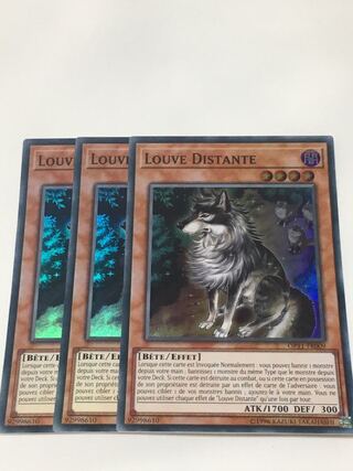 孤高除獣　フランス語版　EU版　3枚