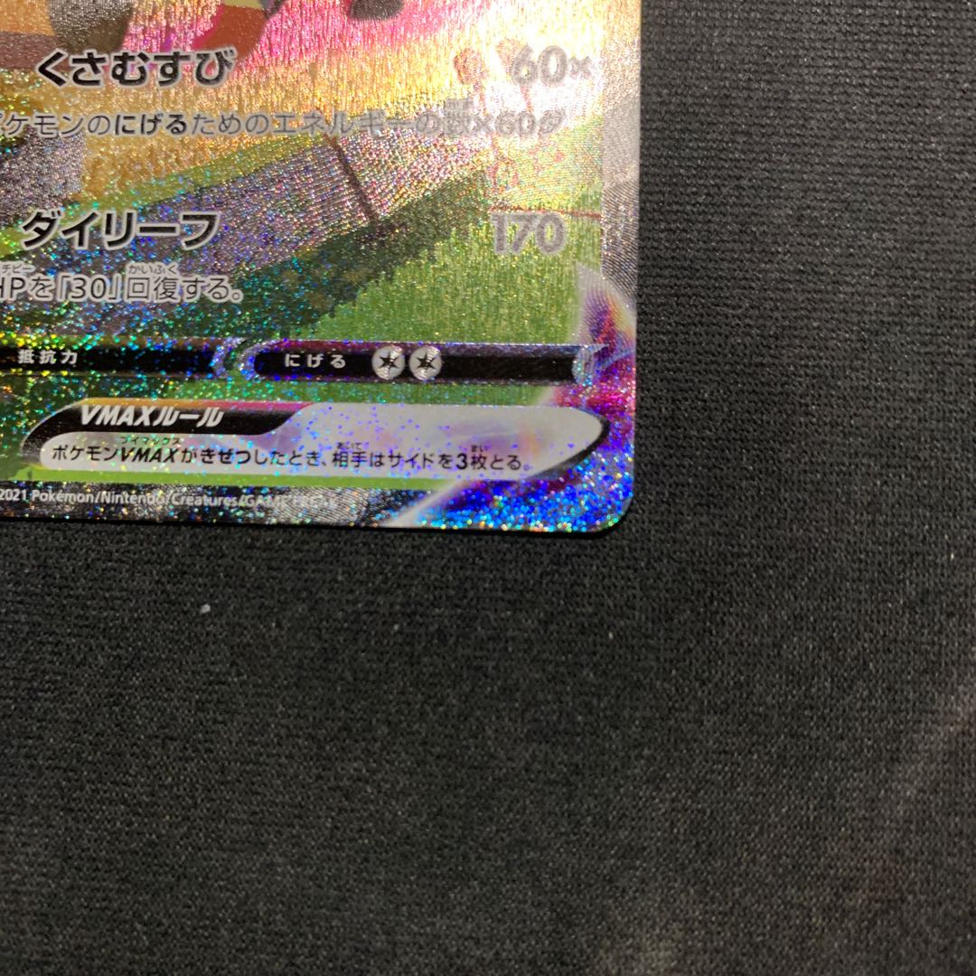 リーフィアvmax sa ❷