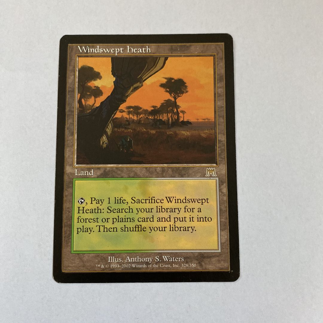 MTG 吹きさらしの荒野　英語　旧枠