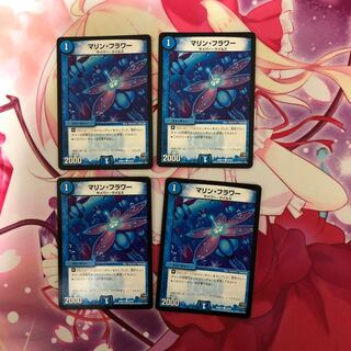 マリン・フラワー　T・アナーゴ