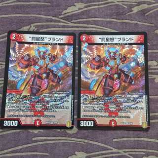 2枚 “罰星怒”ブランド