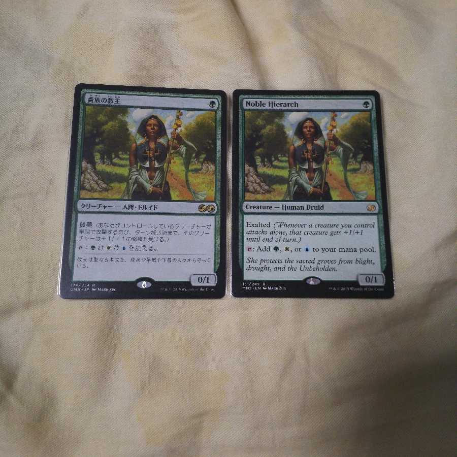 貴族の教主2枚セット【バラ売り可能】