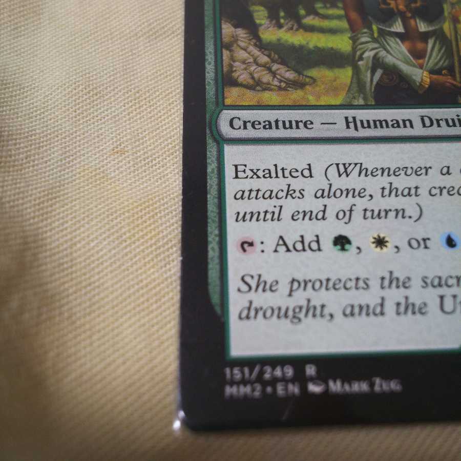 貴族の教主2枚セット【バラ売り可能】