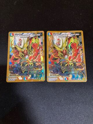 切札勝太&カツキング -熱血の物語- DSR 2枚