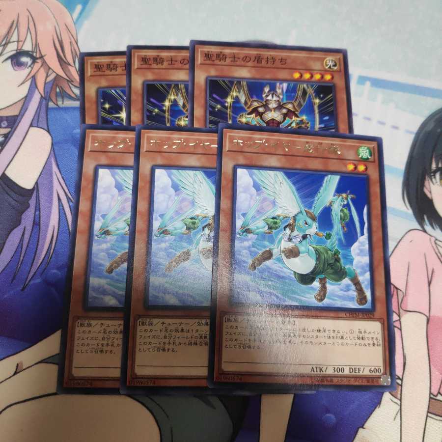 ホップ・イヤー飛行隊