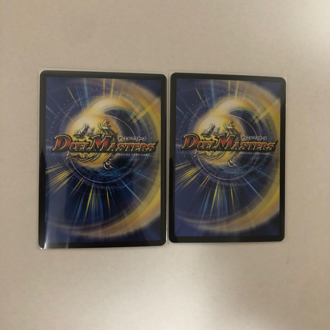 天命龍装 ホーリーエンドA1枚B1枚