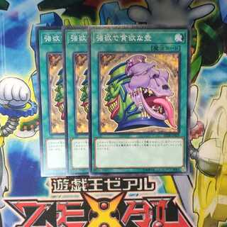 強欲で貪欲な壺