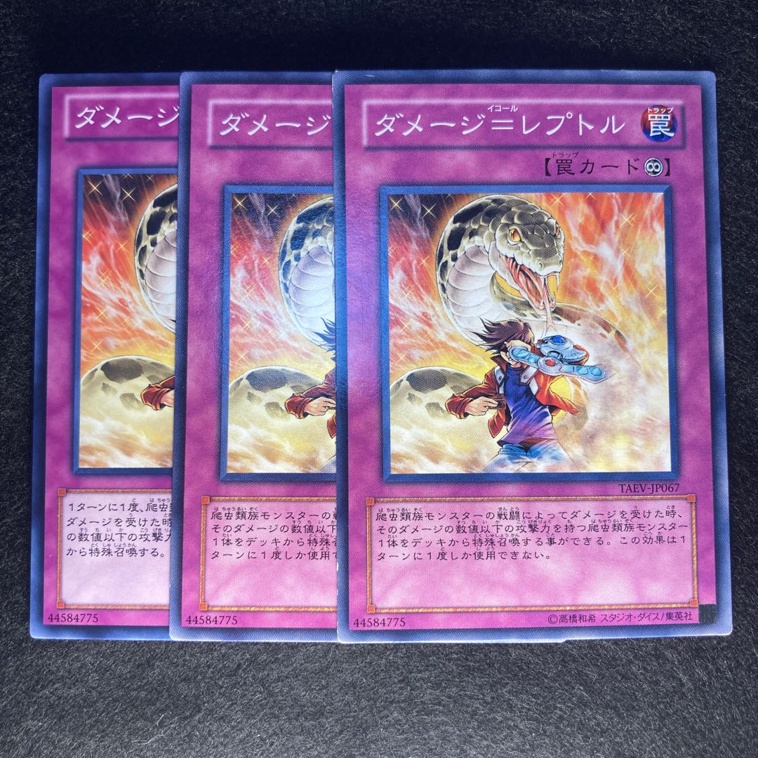 ダメージ=レプトル#306