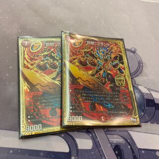 最安値 “罰怒”ブランド 2枚セット