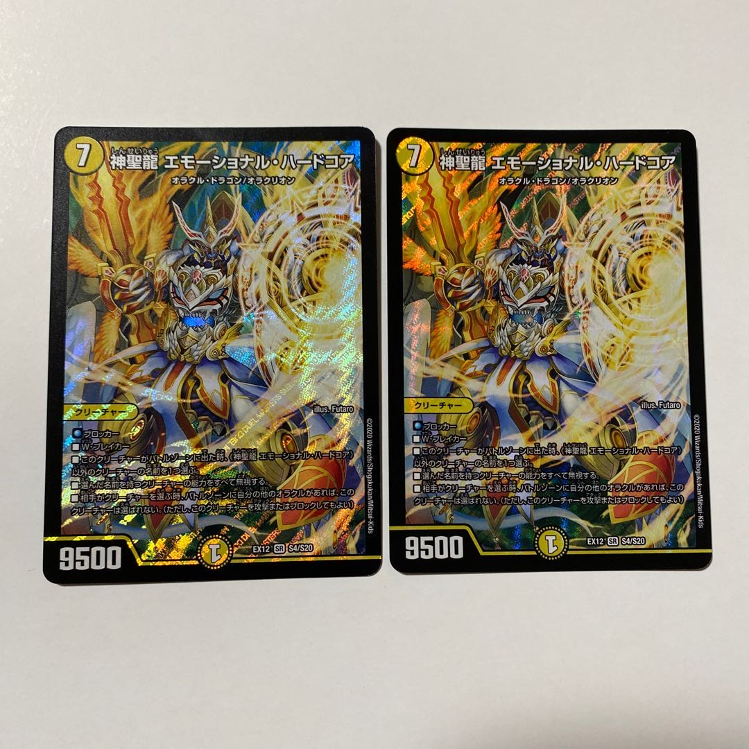 神聖龍 エモーショナル・ハードコア 2枚セット