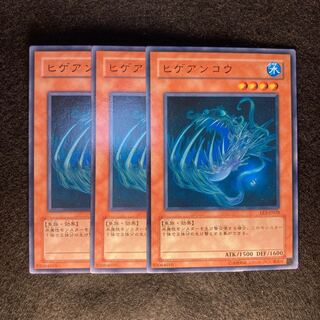 ヒゲアンコウ#336