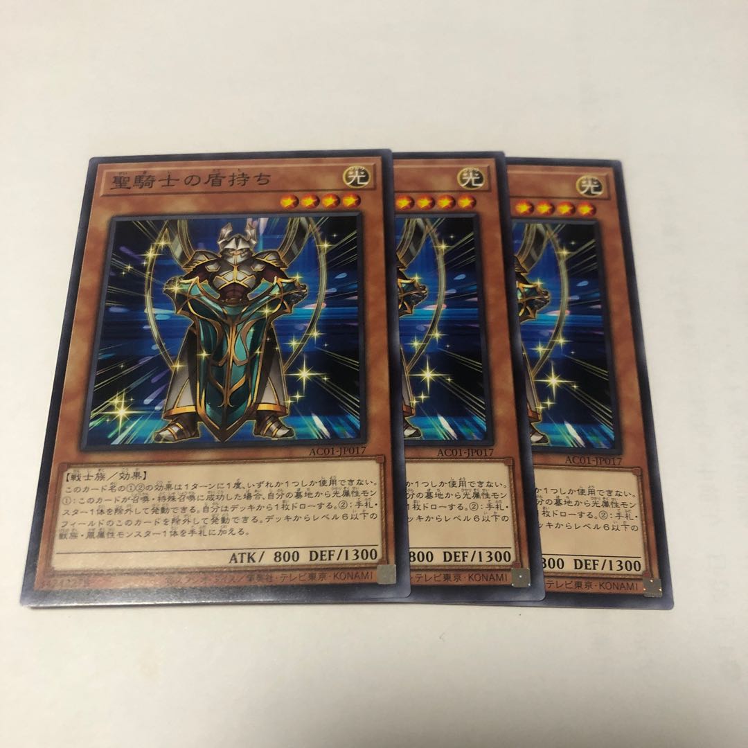 聖騎士の盾持ち ノーマル