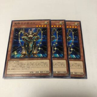 聖騎士の盾持ち ノーマル