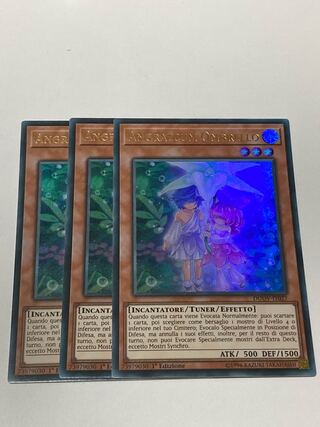 Angraecum Umbrella Italian edition EU edition 3 copies