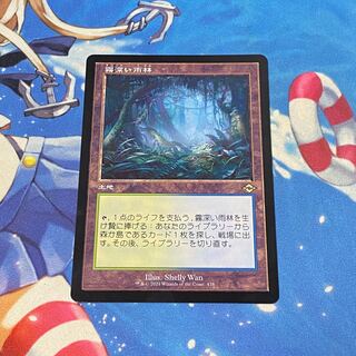 霧深い雨林　旧枠