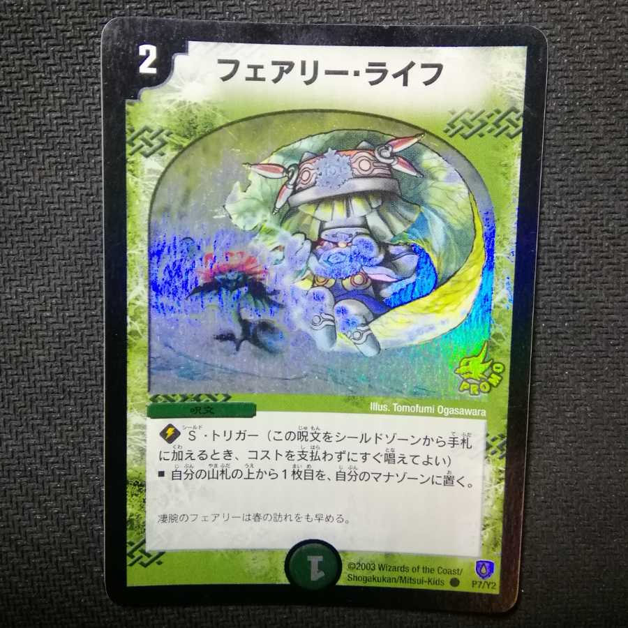 フェアリーライフ　初期プロモ