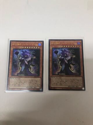 時花の賢者-フルール・ド・サージュ2枚セット