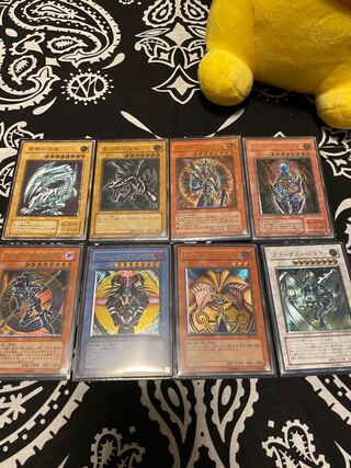 フィギュパパ様専用15口分✩.*˚