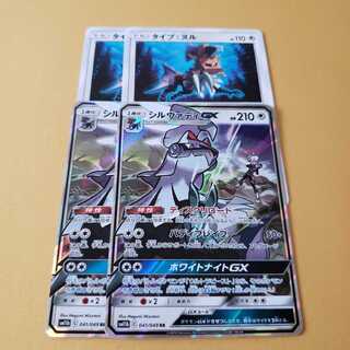 タイプ・ヌル シルヴァディGX