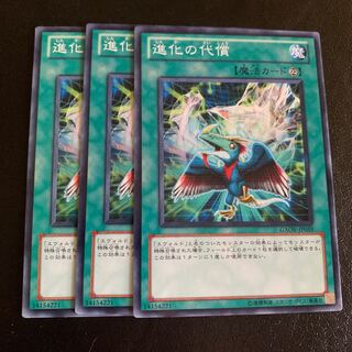 進化の代償 ノーマル