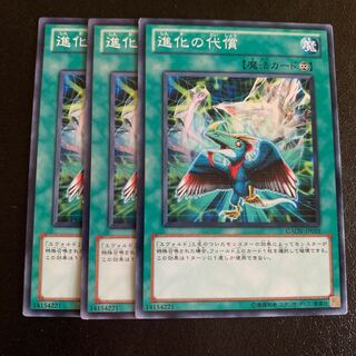 進化の代償 ノーマル