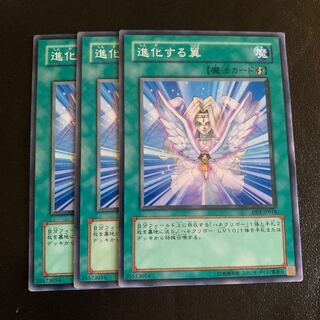 進化する翼 ノーマル