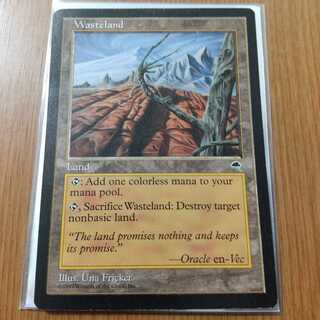 不毛の大地 アンコモン 英語版 1枚