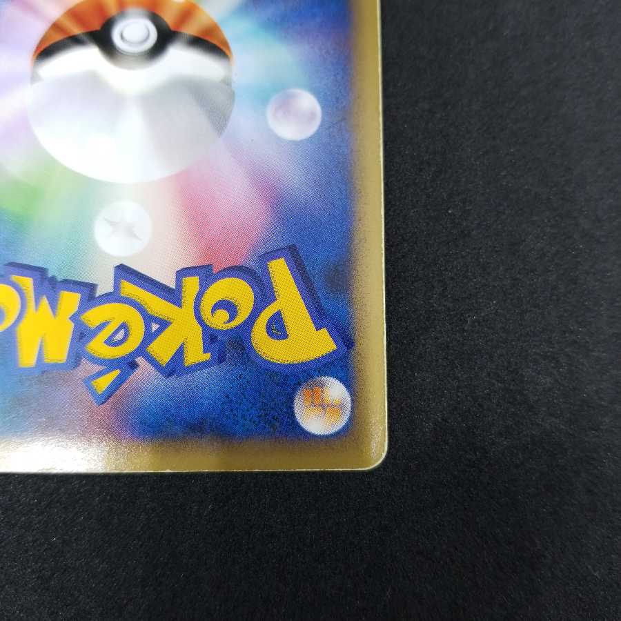 ホウオウ 日本代表決定戦2010プロモ 048