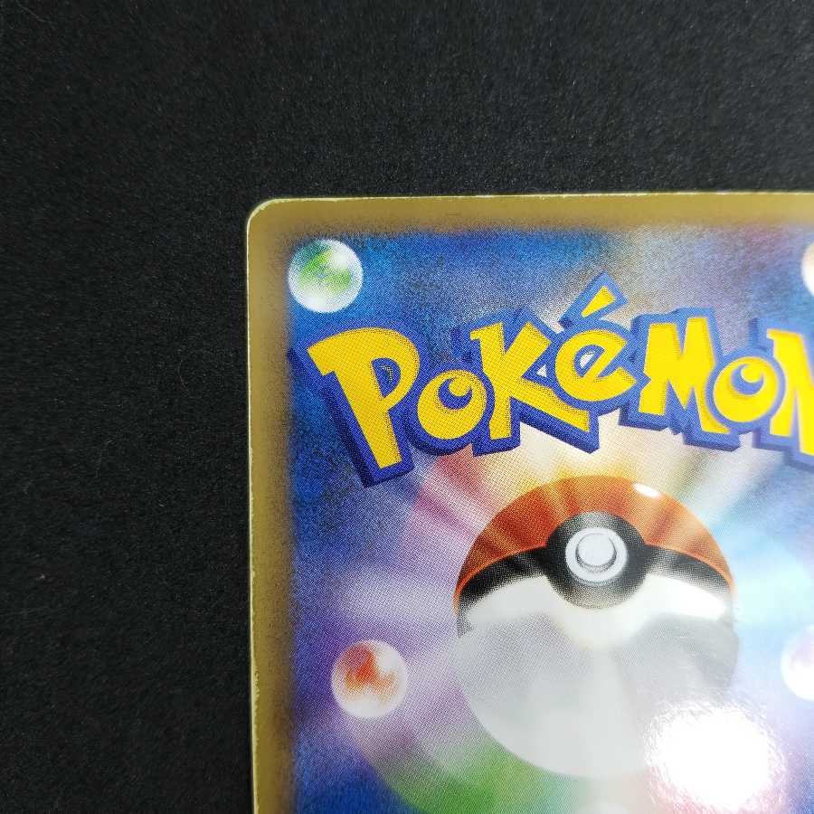 ホウオウ 日本代表決定戦2010プロモ 048