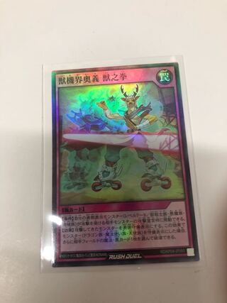 ラッシュ様専用