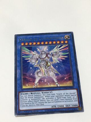 崇光なる宣告者　英語版　EU版　