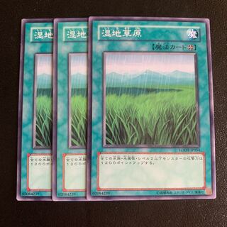 湿地草原 ノーマル