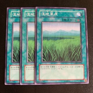 湿地草原 ノーマル