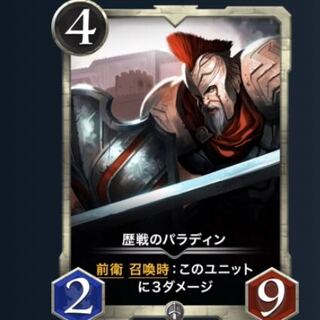 歴戦のパラディンLv23