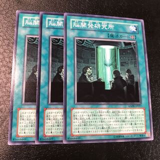 脳開発研究所 ノーマル