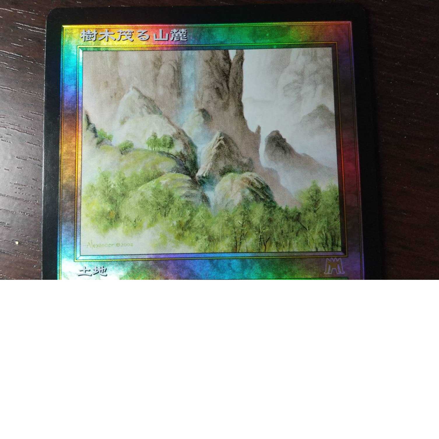 【プラヴォ・ヤズディ様専用】【Foil】《樹木茂る山麓