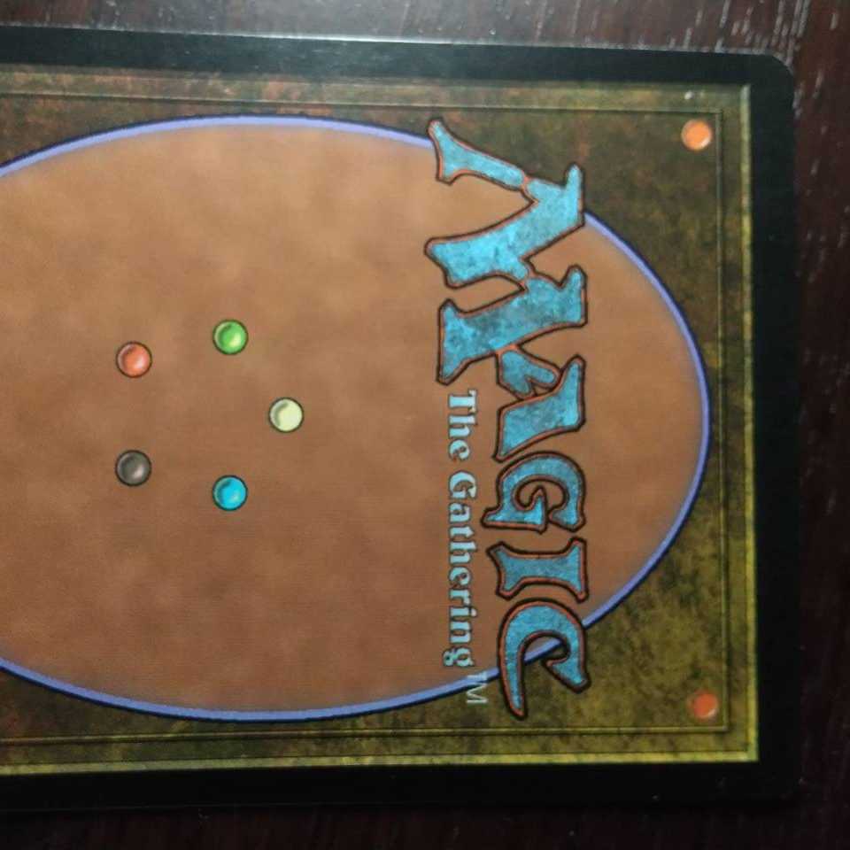 【プラヴォ・ヤズディ様専用】【Foil】《樹木茂る山麓