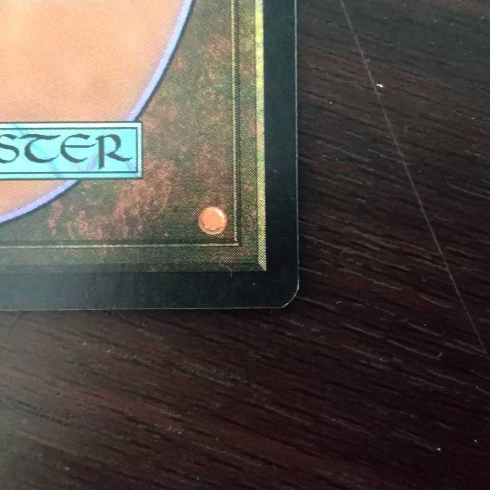 【プラヴォ・ヤズディ様専用】【Foil】《樹木茂る山麓