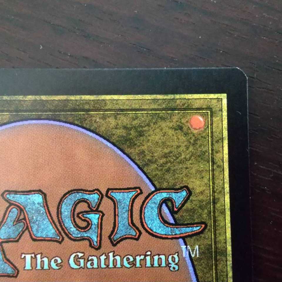 【プラヴォ・ヤズディ様専用】【Foil】《樹木茂る山麓