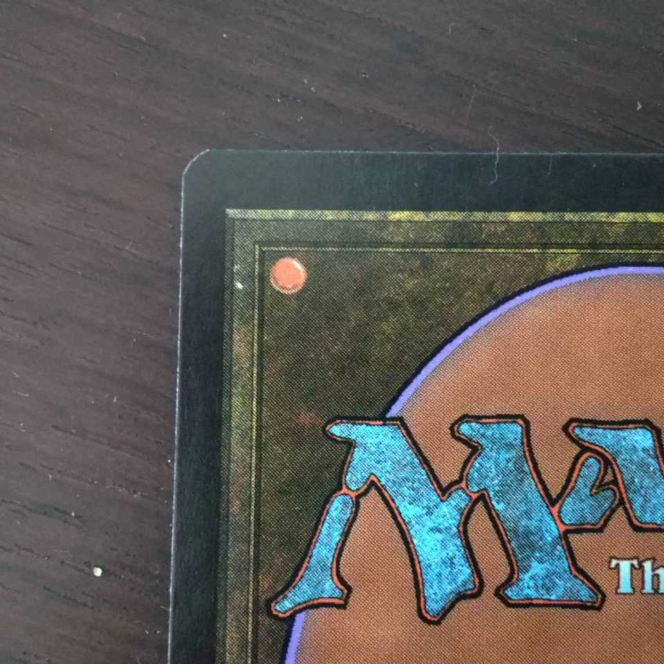 【プラヴォ・ヤズディ様専用】【Foil】《樹木茂る山麓