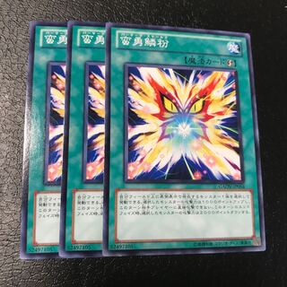 蛮勇鱗粉 ノーマル