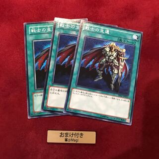 戦士の生還 ノーマル