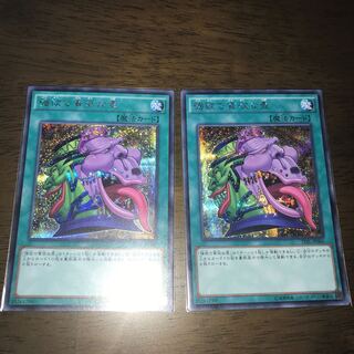 強欲で貪欲な壺 シークレットレア