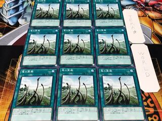 竜の霊廟 ノーマル 9枚セット