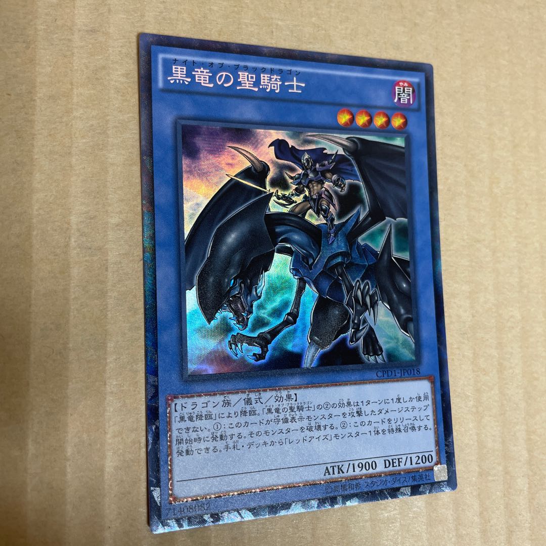 Paladin of Dark Dragon Collector's Rare