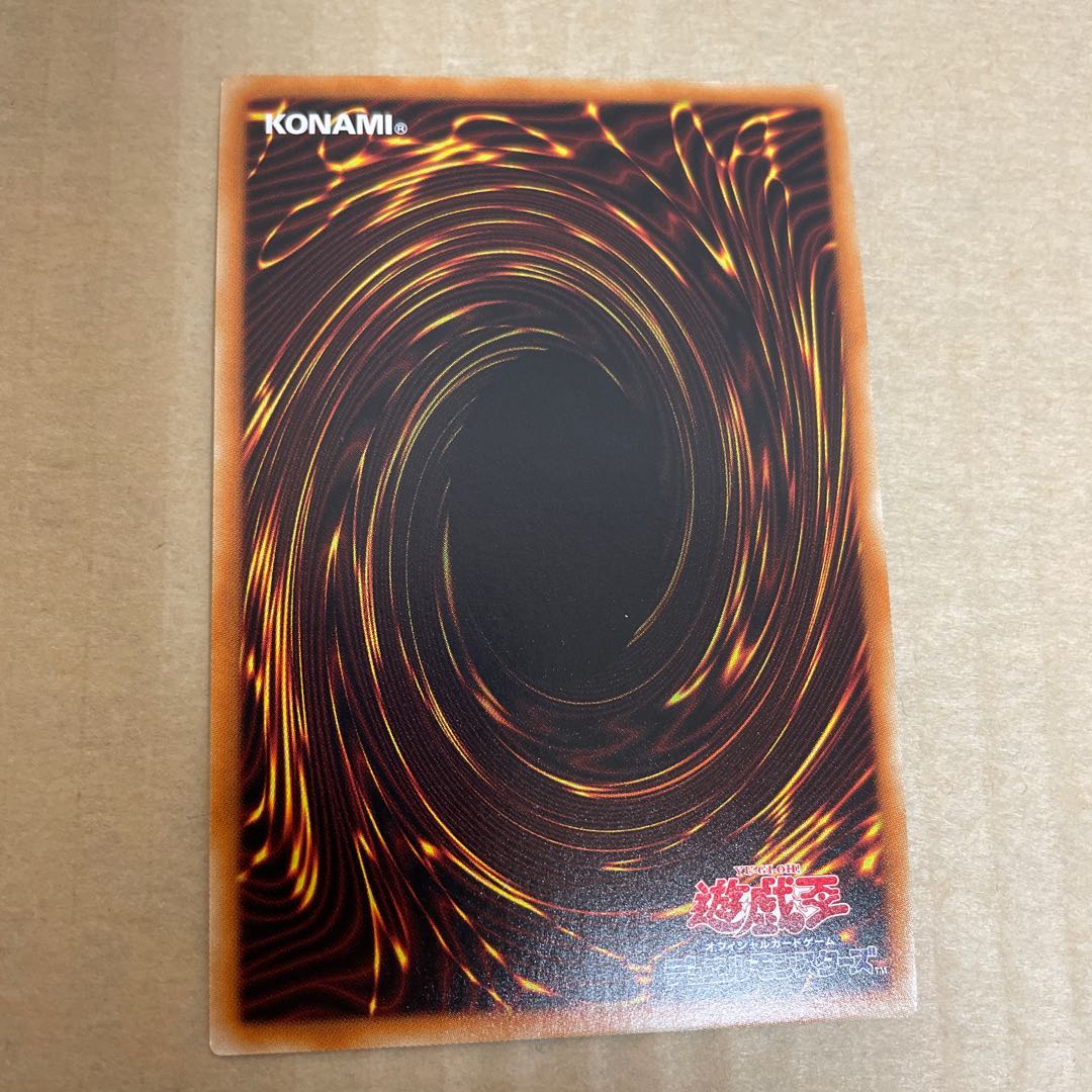 Paladin of Dark Dragon Collector's Rare