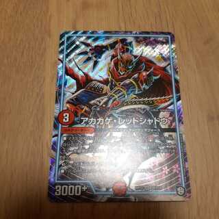 アカカゲ・レッドシャドウ