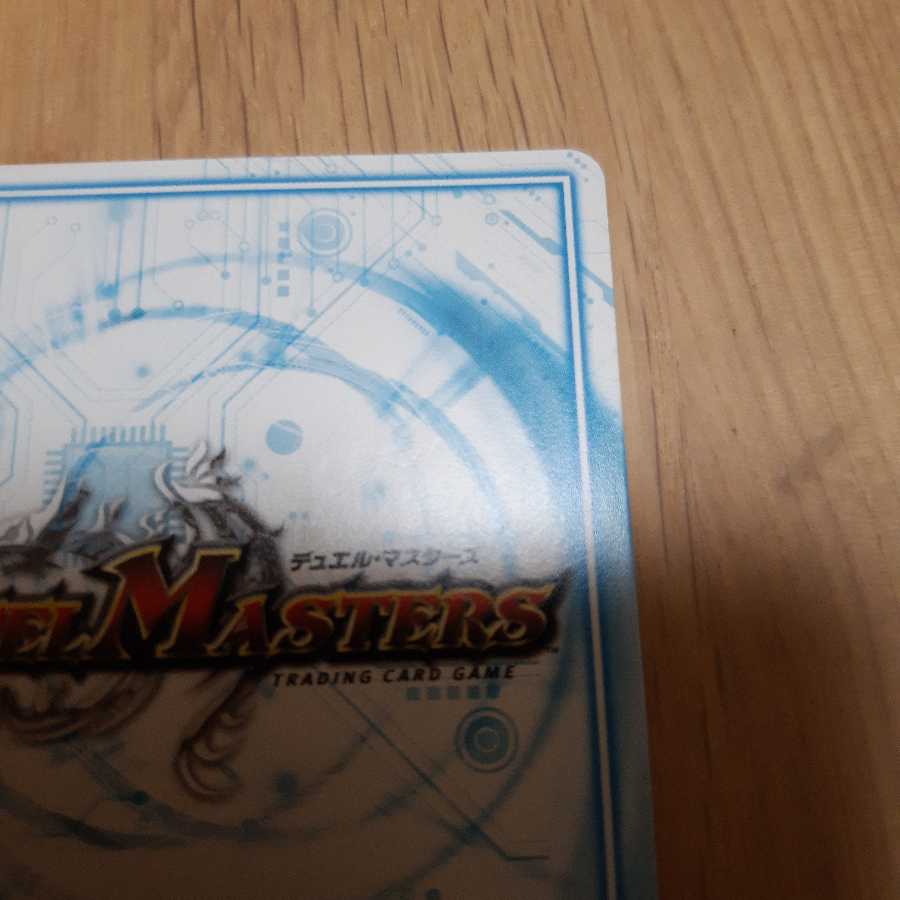 アカカゲ・レッドシャドウ