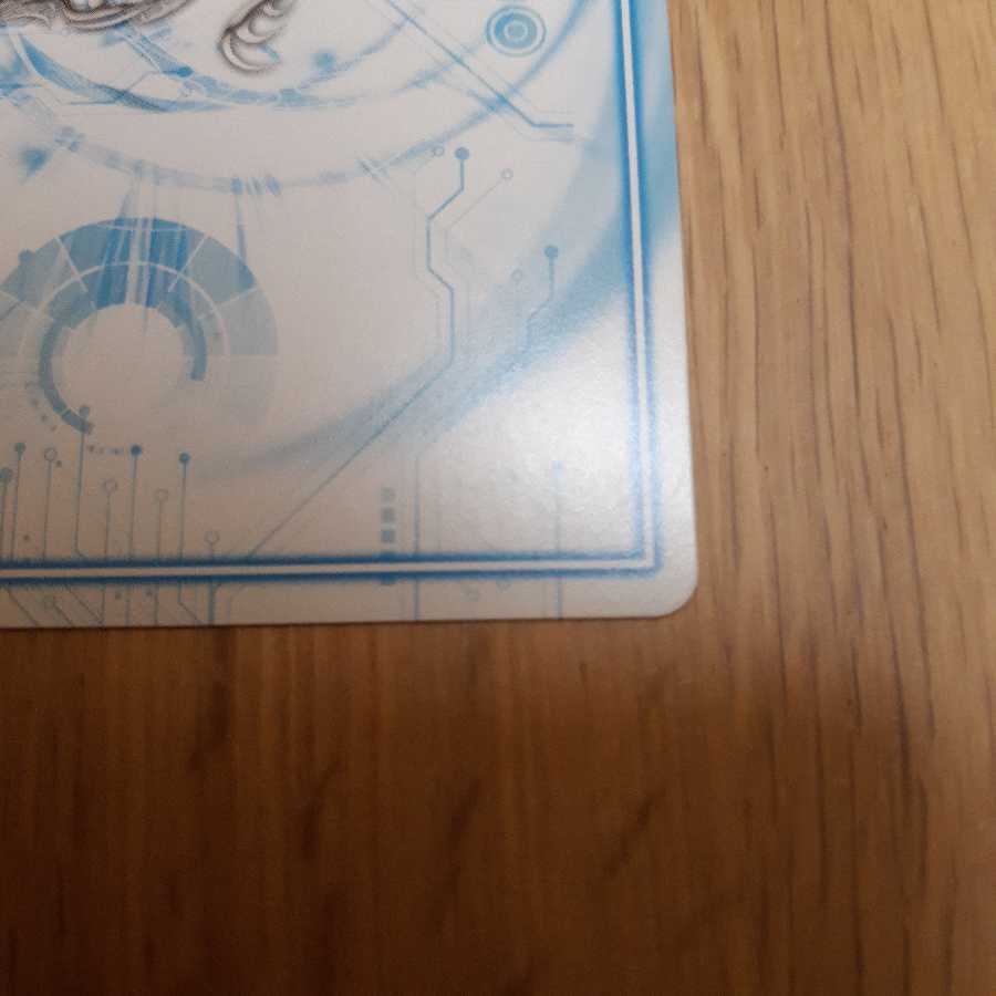 アカカゲ・レッドシャドウ