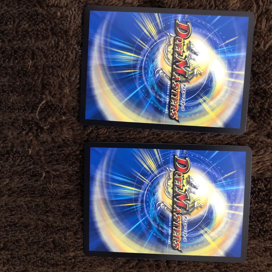 天災デドダム 1枚だな様用